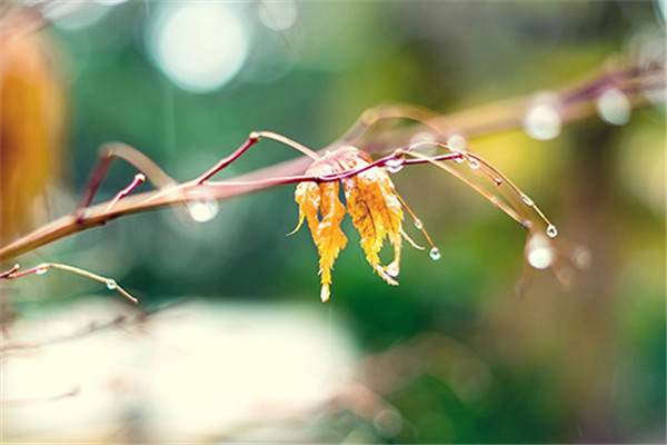 都市无敌战兵李芳芳范哥，都市无敌战兵最新章节