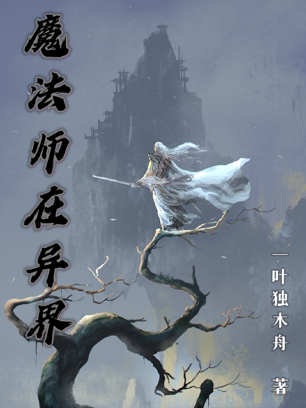 魔法师在异界全文免费阅读无弹窗大结局_（五月墨青儿）魔法师在异界最新小说